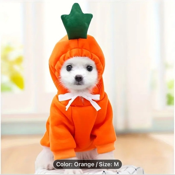 Other - Orange Dog Costume with Green Hat